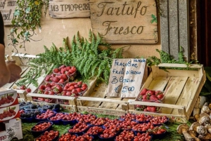 Rome: Beauties and Flavors of the Romans with Wine Tasting