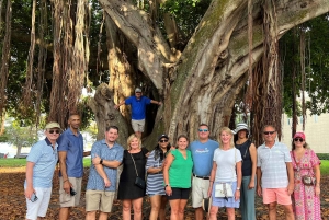 Pete Beach Dr. Tour gastronómico a pie