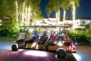 St. Pete: Weihnachtslichter-Tour im Golfcart