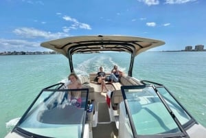 St. Petersburg: Barrier Island & Dolphin Watching Boat Tour