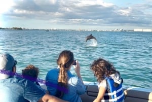 St. Petersburg: Barrier Island & Dolphin Watching Boat Tour