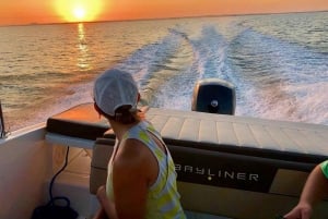 St. Petersburg: Barrier Island & Dolphin Watching Boat Tour