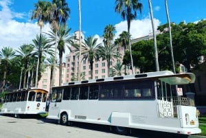 Saint-Pétersbourg : visite de la ville - La visite tout en un