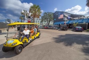 San Pietroburgo: tour in golf cart elettrico nel centro città