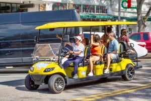 San Pietroburgo: tour in golf cart elettrico nel centro città