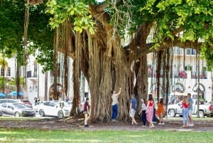 San Pietroburgo: tour in golf cart elettrico nel centro città