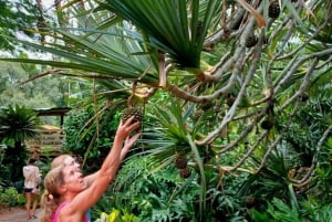 St. Petersburg: tour ecologico in Segway con Sunken Gardens