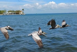 St. Petersburg: Eco-segwaytour met Sunken Gardens