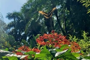 St. Petersburg: Eco-segwaytour met Sunken Gardens