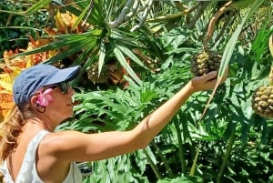 St. Petersburg: Eco-segwaytour met Sunken Gardens