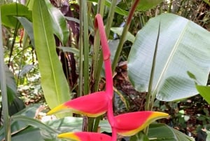 St. Petersburg: Eco-segwaytour met Sunken Gardens