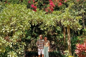 St. Petersburg: Eco-segwaytour met Sunken Gardens