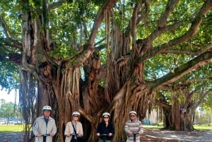 St. Petersburg: Eco-segwaytour met Sunken Gardens