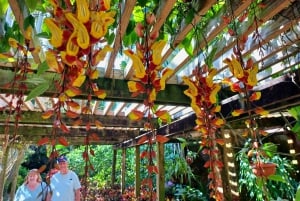 St. Petersburg: Eco-segwaytour met Sunken Gardens