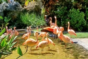 St. Petersburg: tour ecologico in Segway con Sunken Gardens