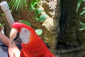 St. Petersburg: tour ecologico in Segway con Sunken Gardens