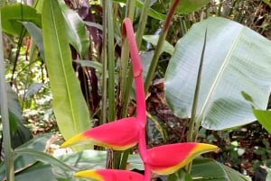 St. Petersburg: tour ecologico in Segway con Sunken Gardens