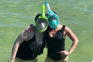 St Petersburg, FL: 3 Hour Islands Hopping Eco Tour