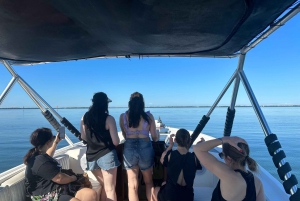 St Petersburg, FL: 3 Hour Islands Hopping Eco Tour