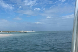 St Petersburg, FL: 3 Hour Islands Hopping Eco Tour