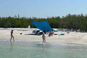 St Petersburg, FL: 3 Hour Islands Hopping Eco Tour