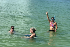 St Petersburg, FL: 3 Hour Islands Hopping Eco Tour