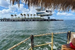 St. Petersburg, FL: 3-stündige private Tiki-Kreuzfahrt