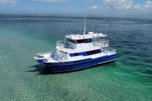 San Petersburgo, Florida: crucero en catamarán de 4 horas a Egmont Key