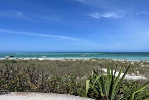 San Petersburgo, Florida: crucero en catamarán de 4 horas a Egmont Key