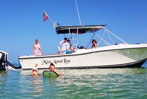 St. Petersburg, FL: Private 2-Hour Dolphin Watching Cruise