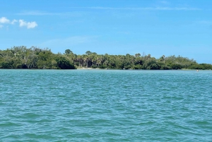 St. Petersburg, FL: Private Florida Gulf 6-Hour Boat Tour