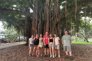 St. Petersburg, FL: passeio de e-bike por pontos turísticos e murais