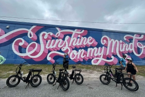St. Petersburg, FL: passeio de e-bike por pontos turísticos e murais