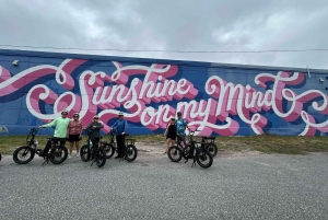 St. Petersburg, FL: passeio de e-bike por pontos turísticos e murais