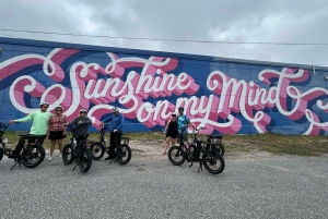 St. Petersburg, FL: passeio de e-bike por pontos turísticos e murais
