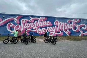 St. Petersburg, FL: passeio de e-bike por pontos turísticos e murais