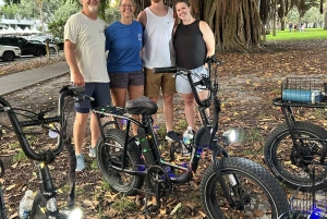 St. Petersburg, FL: passeio de e-bike por pontos turísticos e murais