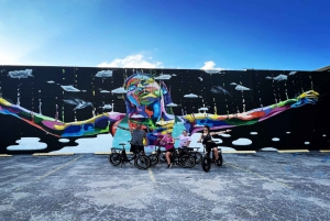 San Petersburgo, Florida: Tour en bicicleta eléctrica al atardecer y al anochecer
