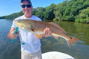 St. Petersburg, FL: Tampa Bay Private Inshore Fishing Trip