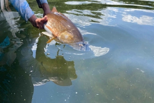 St. Petersburg, FL: Tampa Bay Private Inshore Fishing Trip