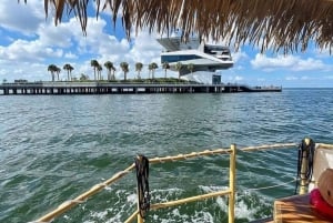 St. Petersburg, FL: St. Pete Pier Tiki Cruise