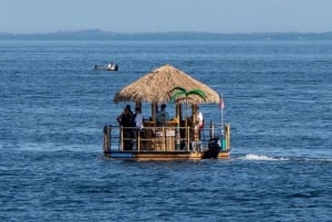 St. Petersburg, FL: St. Pete Pier Tiki Cruise