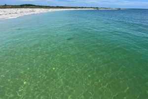 St. Petersburg, FL: 4-timers privat strandtur