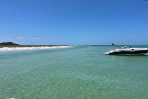 St. Petersburg, FL: 4-timers privat strandtur