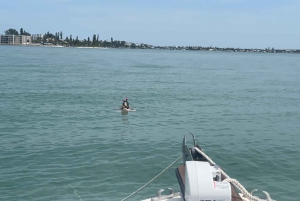 St. Petersburg, FL: 4-timers privat strandtur