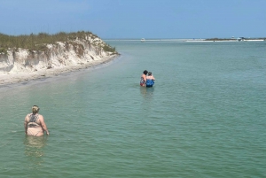 St. Petersburg, FL: 4-timers privat strandtur