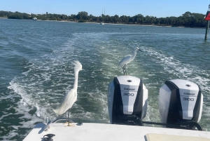 St. Petersburg, FL: 4-timers privat strandtur