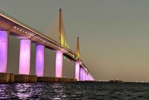 St. Petersburg, FL: Sunset & Skyway Bridge Lights Tour