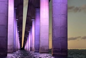 St. Petersburg, FL: Sunset & Skyway Bridge Lights Tour