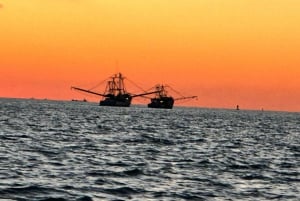St. Petersburg, FL: Sunset & Skyway Bridge Lights Tour